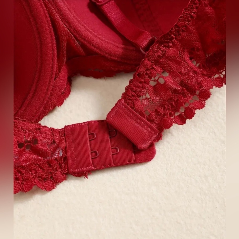 New 3 piece lingerie set, sexy burgundy underwire bra, garter and panty - Picture 3 of 6